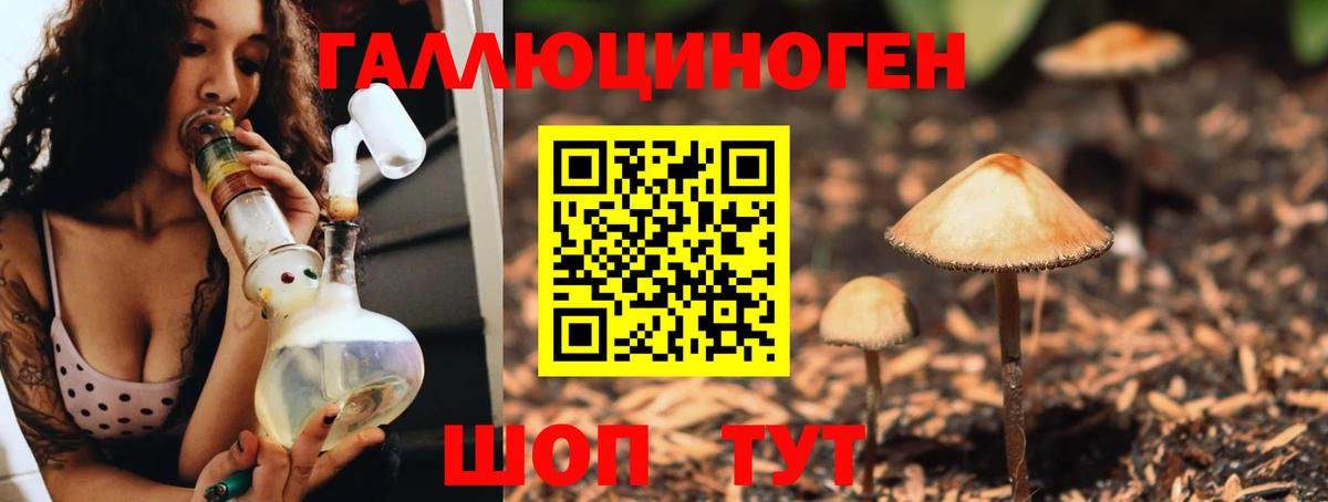 Жуковский  Псилоцибиновые грибы Psilocybine cubensis  Вход с VPN  Псилоцибиновые грибы Psilocybine cubensis 
